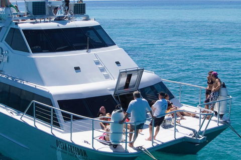 Ocean Freedom Great Barrier Reef Personal Luxury Snorkel & Dive Cruise, Cairns - Tourism Noosa 1