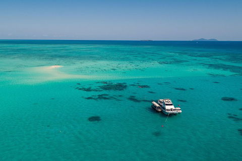 Ocean Freedom Great Barrier Reef Personal Luxury Snorkel & Dive Cruise, Cairns - Tourism Noosa 2