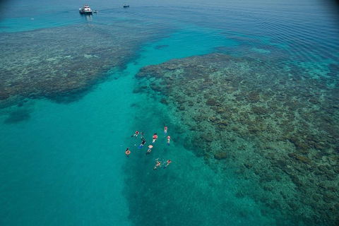 Ocean Freedom Great Barrier Reef Personal Luxury Snorkel & Dive Cruise, Cairns - Tourism Noosa 3