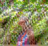 5 Day Australia Retreat Queensland Daintree - Tourism Noosa