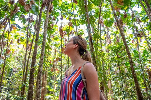 5 Day Australia Retreat: Queensland Daintree - Tourism Noosa 0