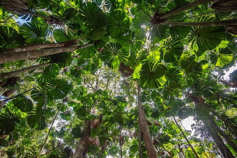 5 Day Australia Retreat: Queensland Daintree - Tourism Noosa 2