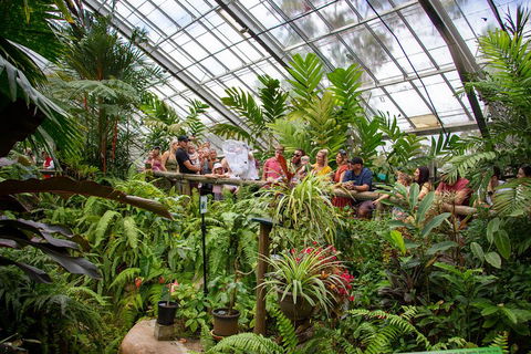 Australian Butterfly Sanctuary - Tourism Noosa 0