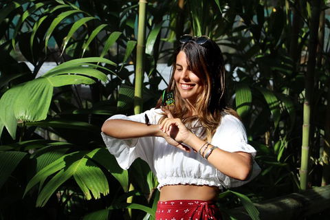 Australian Butterfly Sanctuary - Tourism Noosa 1