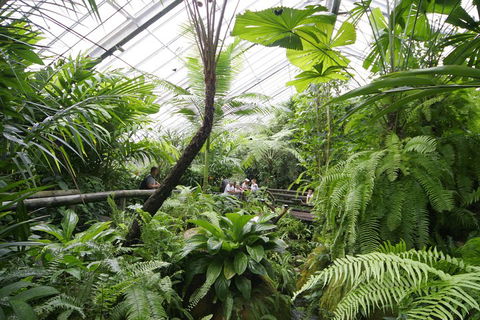 Australian Butterfly Sanctuary - Tourism Noosa 3