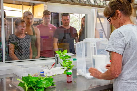 Australian Butterfly Sanctuary - Tourism Noosa 5