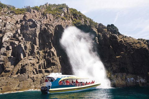 Full-Day Bruny Island Cruises Day Tour From Hobart - Tourism Noosa 4