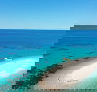 Ocean Safari Great Barrier Reef Experience in Cape Tribulation - Tourism Noosa