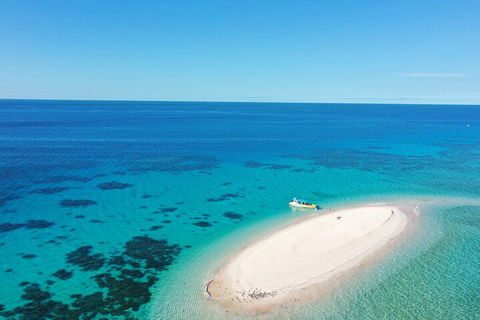 Ocean Safari Great Barrier Reef Experience In Cape Tribulation - Tourism Noosa 0