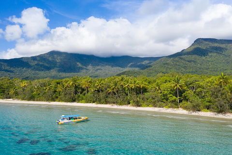 Ocean Safari Great Barrier Reef Experience In Cape Tribulation - Tourism Noosa 2