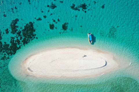 Ocean Safari Great Barrier Reef Experience In Cape Tribulation - Tourism Noosa 3