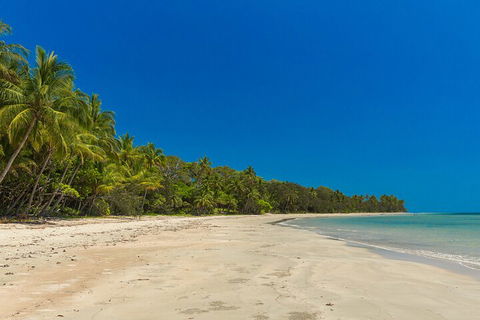 Ocean Safari Great Barrier Reef Experience In Cape Tribulation - Tourism Noosa 4