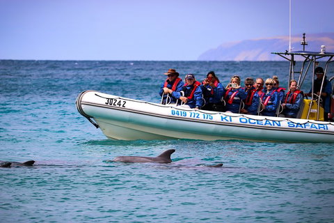 Kangaroo Island 75-Minute Ocean Safari - Tourism Noosa 4