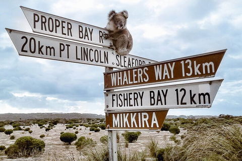 One Day Port Lincoln Tour - Tasting Eyre - Tourism Noosa 2