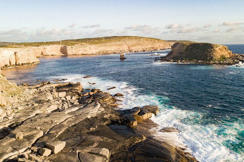 One Day Port Lincoln Tour - Tasting Eyre - Tourism Noosa 3