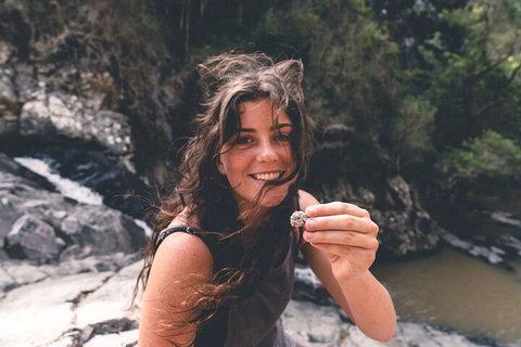 Springbrook AndTamborine Rainforest Tour Incl Natural Bridge And Glow Worm Cave - Tourism Noosa 1