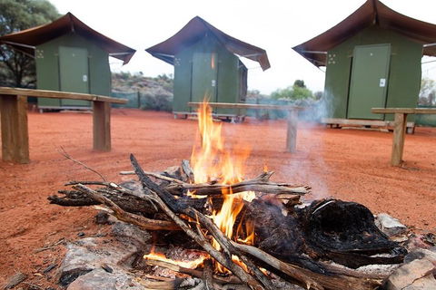 4 Day/3 Night Perentie Dreaming Safari - Tourism Noosa 1