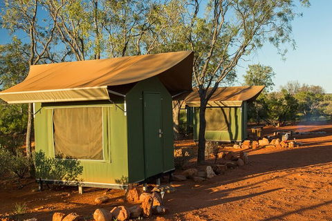 4 Day/3 Night Perentie Dreaming Safari - Tourism Noosa 2