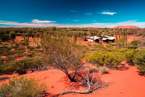 Overnight Uluru (Ayers Rock) Small-Group Camping Tour - Tourism Noosa 2
