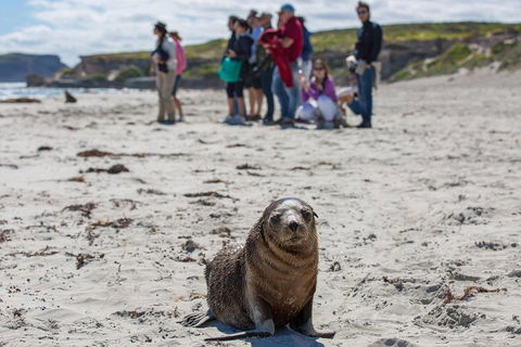Kangaroo Island In A Day Tour From Adelaide - Tourism Noosa 0