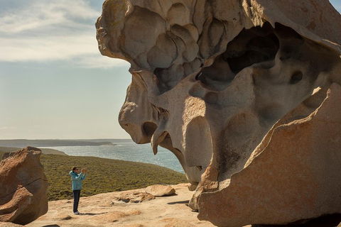 Kangaroo Island In A Day Tour From Adelaide - Tourism Noosa 5