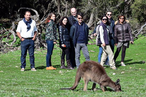 2-Day Kangaroo Island 4WD Small-Group Tour From Adelaide - Tourism Noosa 1