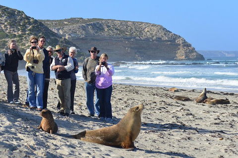 2-Day Kangaroo Island 4WD Small-Group Tour From Adelaide - Tourism Noosa 3