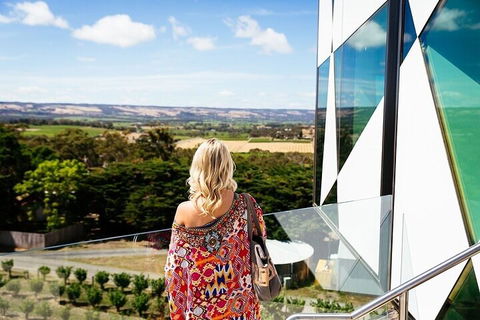 Small Group McLaren Vale And The Cube Experience - Tourism Noosa 3