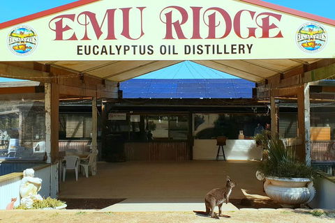 2 Day Ultimate Kangaroo Island With Return Ferry - Tourism Noosa 3