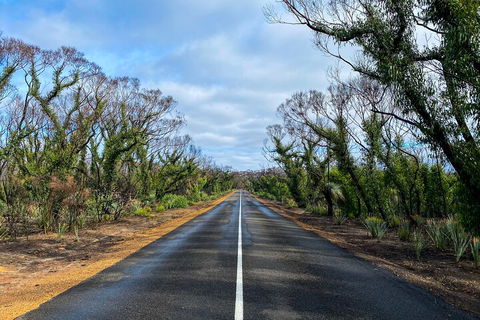 2 Day Ultimate Kangaroo Island With Return Ferry - Tourism Noosa 4