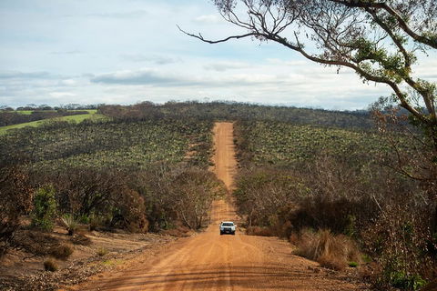 NEW TOUR - Kangaroo Island Road To Recovery Tour (1 Day/1 Night) - Tourism Noosa 2