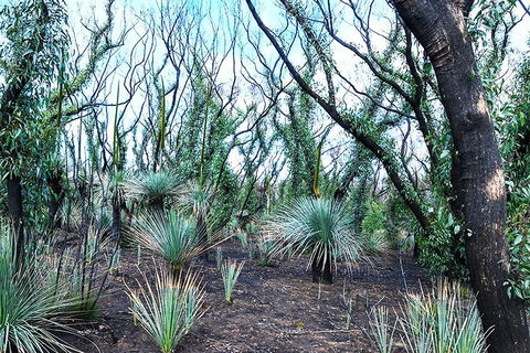 NEW TOUR - Kangaroo Island Road To Recovery Tour (1 Day/1 Night) - Tourism Noosa 3