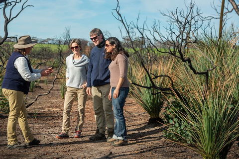 NEW TOUR - Kangaroo Island Road To Recovery Tour (1 Day/1 Night) - Tourism Noosa 4