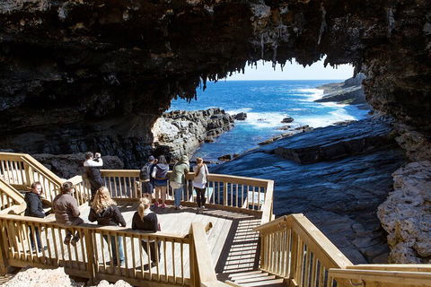 Full Day Flinders Chase Tour From Kangaroo Island - Tourism Noosa 1