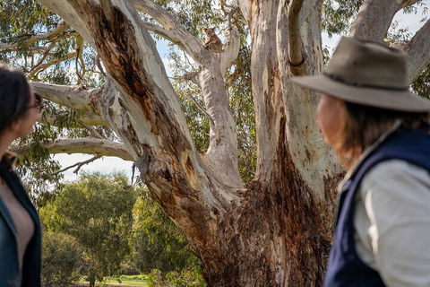 Full Day Flinders Chase Tour From Kangaroo Island - Tourism Noosa 5