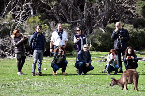 Small-Group Kangaroo Island 4WD Tour From Adelaide - Tourism Noosa 2