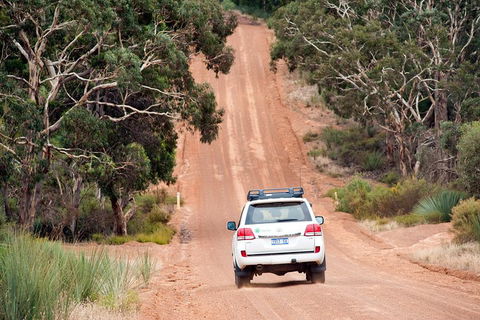 Small-Group Kangaroo Island 4WD Tour From Adelaide - Tourism Noosa 3