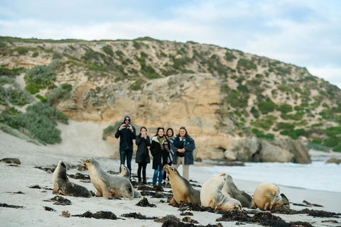 Small-Group Kangaroo Island 4WD Tour From Adelaide - Tourism Noosa 4