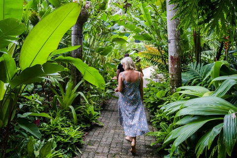 Cairns City Sights And Surrounds Tour - Tourism Noosa 2