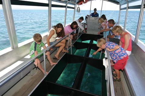 Cairns City Sights And Surrounds Tour - Tourism Noosa 5