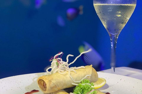 Cairns Aquarium And Small Group City Sightseeing Tour - Tourism Noosa 5