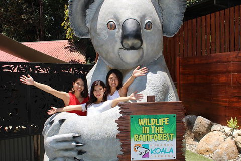 Kuranda Koala Gardens And Birdworld Admission Tickets - Tourism Noosa 3