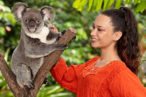 Kuranda Wildlife Experience Three Attraction Pass - Tourism Noosa 4