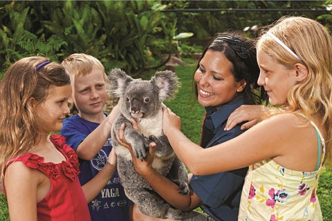 Kuranda Koala Gardens General Entry Ticket - Tourism Noosa 0