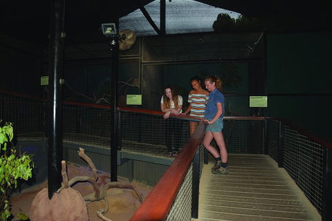 Kuranda Koala Gardens General Entry Ticket - Tourism Noosa 2