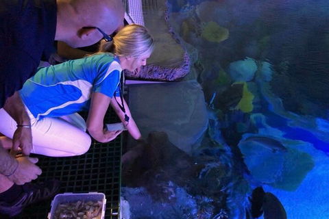 Cairns Aquarium Marine Life Encounter Ticket With 2-Course Lunch - Tourism Noosa 2