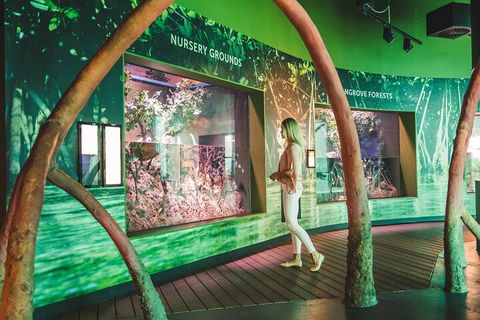 Cairns Aquarium Marine Life Encounter Ticket With 2-Course Lunch - Tourism Noosa 3