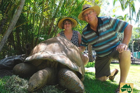 Small-Group Australia Zoo Day Trip From Brisbane - Tourism Noosa 1