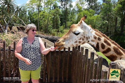 Small-Group Australia Zoo Day Trip From Brisbane - Tourism Noosa 2