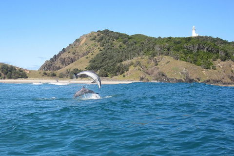 Kayaking With Dolphins In Byron Bay Guided Tour - Tourism Noosa 0